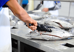 Curso Manipulador de alimentos. Sector Productos pesqueros