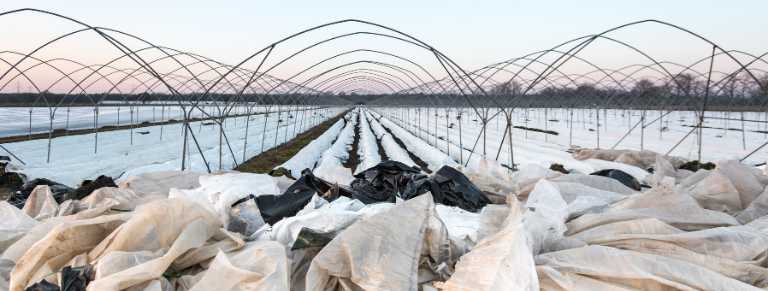 Residuos agricolas