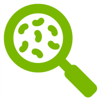 legionella legionella formación