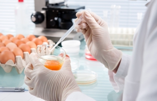 Curso Técnico de Calidad de la Industria Alimentaria