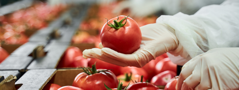 Aplicación del Sistema APPCC de seguridad alimentaria