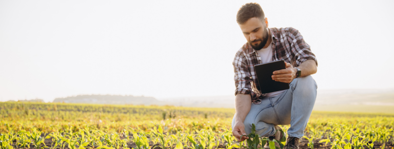 Registro en el Cuaderno Digital de Explotación - Fitosanitarios