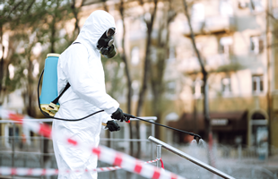 SEA_C_001_4B Servicios de Control de Plagas/Organismos Nocivos