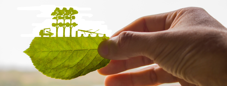 ISO 9001:2015 y el impacto del cambio climático