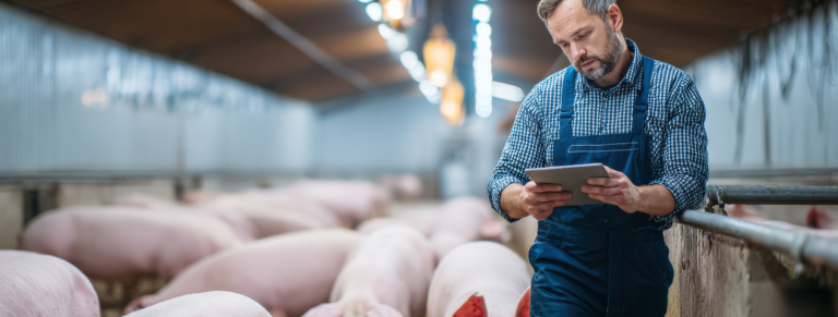 BIENESTAR ANIMAL_DE REQUISITO ÉTICO A EXIGENCIA TÉCNICA Y PROFESIONAL