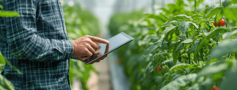 AUDITORÍA AGRONÓMICA