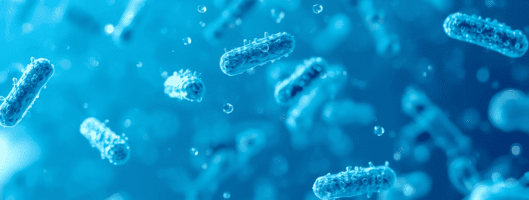 LOS SISTEMAS DE AGUA DE LOS EDIFICIOS PUEDEN GENERAR NUEVAS VARIANTES DE LEGIONELLA